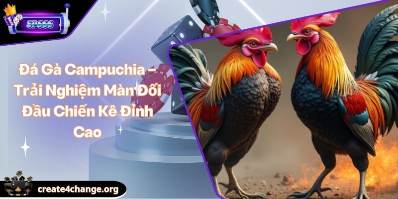 Đá Gà Campuchia – Trải Nghiệm Màn Đối Đầu Chiến Kê Đỉnh Cao 1 Đá Gà Campuchia – Trải Nghiệm Màn Đối Đầu Chiến Kê Đỉnh Cao