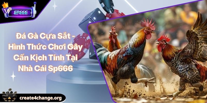 Đá Gà Cựa Sắt - Hình Thức Chơi Gây Cấn Kịch Tính Tại Nhà Cái Sp666 1 Đá Gà Cựa Sắt - Hình Thức Chơi Gây Cấn Kịch Tính Tại Nhà Cái Sp666