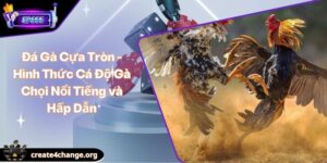 Đá Gà Cựa Tròn - Hình Thức Cá Độ Gà Chọi Nổi Tiếng và Hấp Dẫn