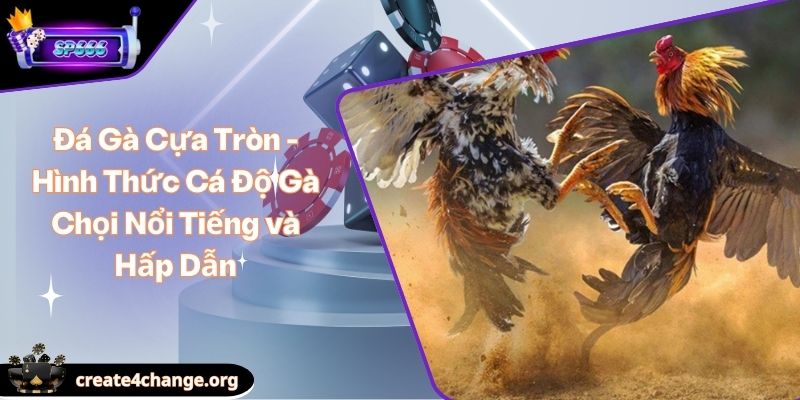 Đá Gà Cựa Tròn - Hình Thức Cá Độ Gà Chọi Nổi Tiếng và Hấp Dẫn 1 Đá Gà Cựa Tròn - Hình Thức Cá Độ Gà Chọi Nổi Tiếng và Hấp Dẫn