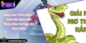 Nằm Mơ Thấy Rắn - Giải Mã Giấc Mơ Thấy Rắn Và Con Số May Mắn